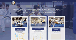 Desktop Screenshot of professionalblackbeltacademy.com