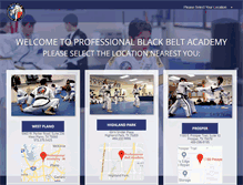 Tablet Screenshot of professionalblackbeltacademy.com